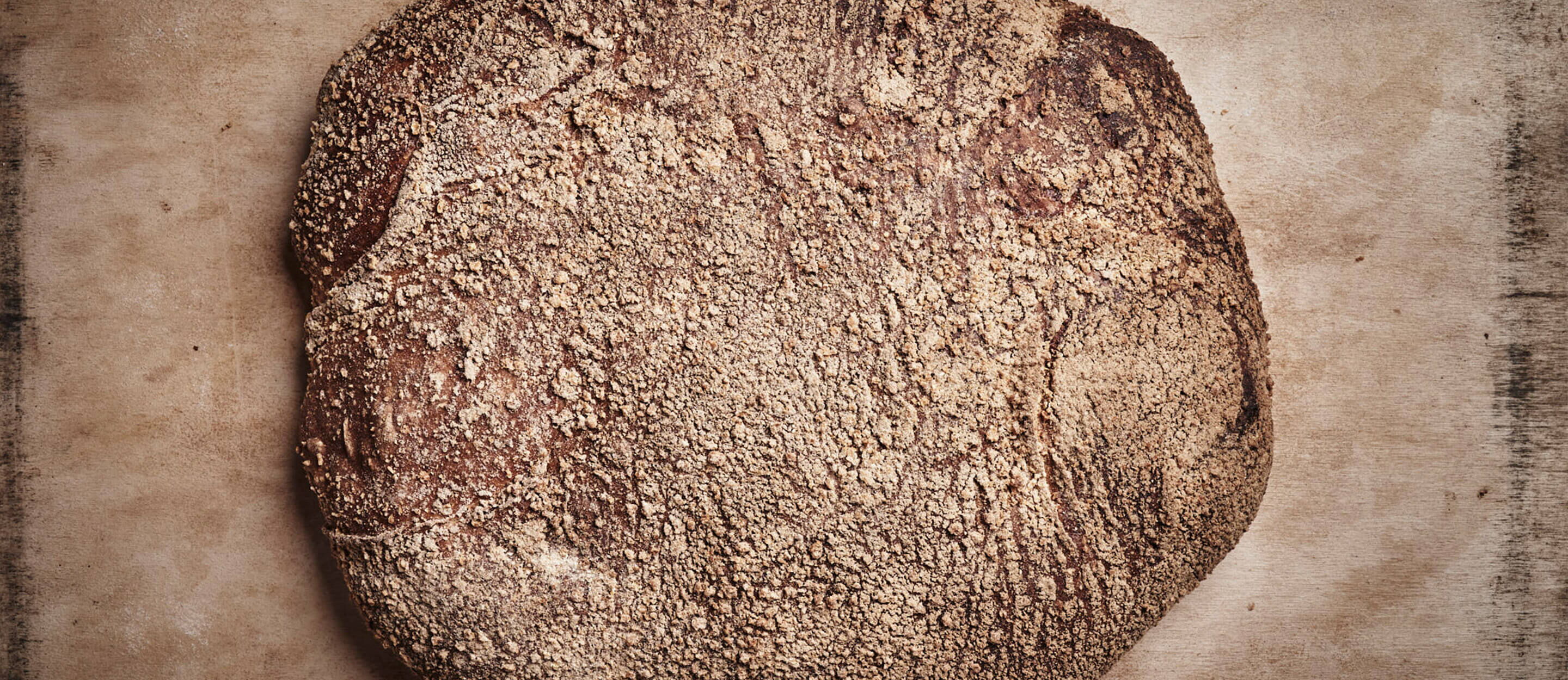 Dinkel-bully-muehlen-baecker-heide-01